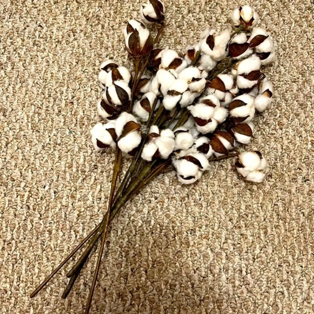 LIKE NEW COTTON STEMS - PACK OF 4
